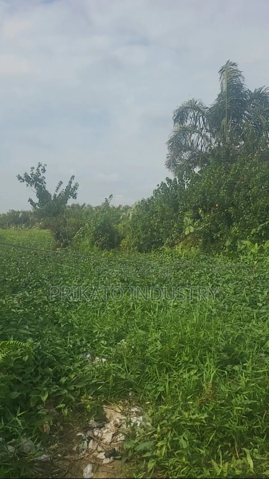 A Plot of Land for Sell in Elemoro
