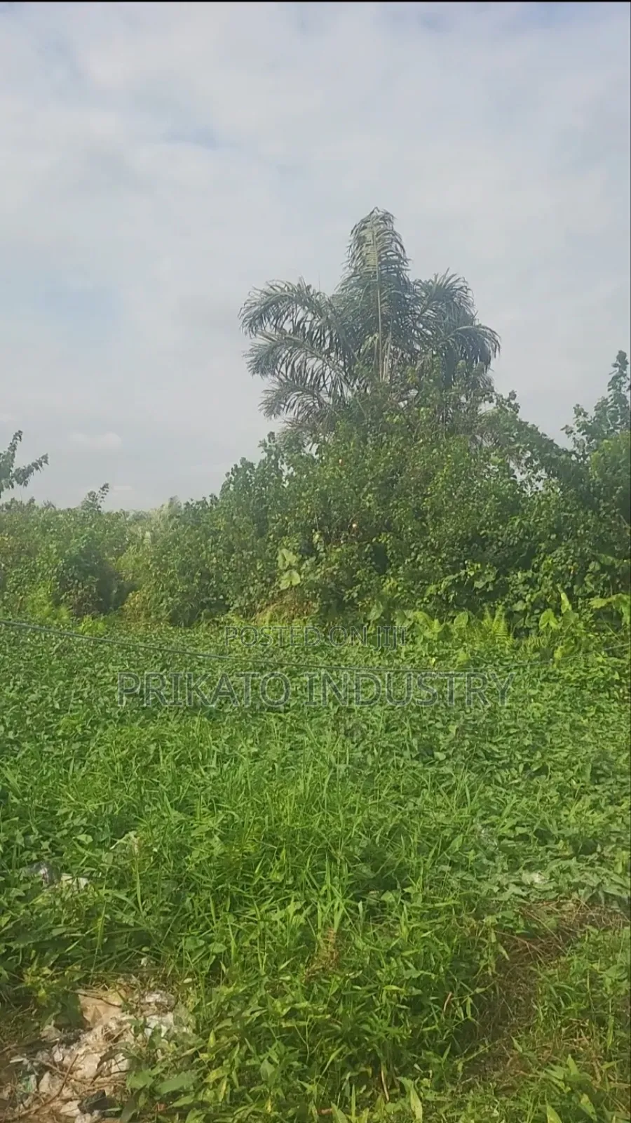 A Plot of Land for Sell in Elemoro