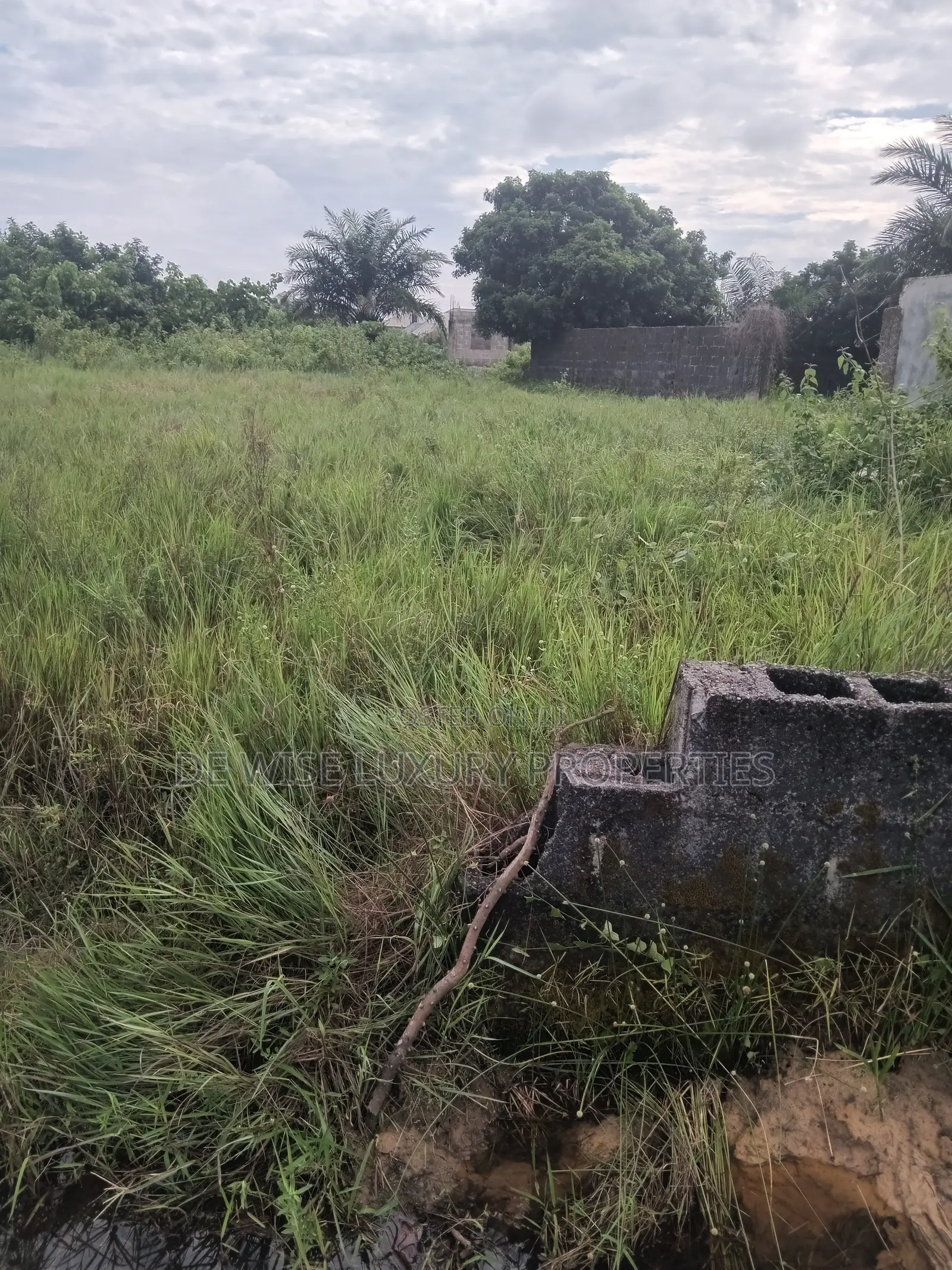 Land in Lagasa Losoro Lakowe in Lakowe
