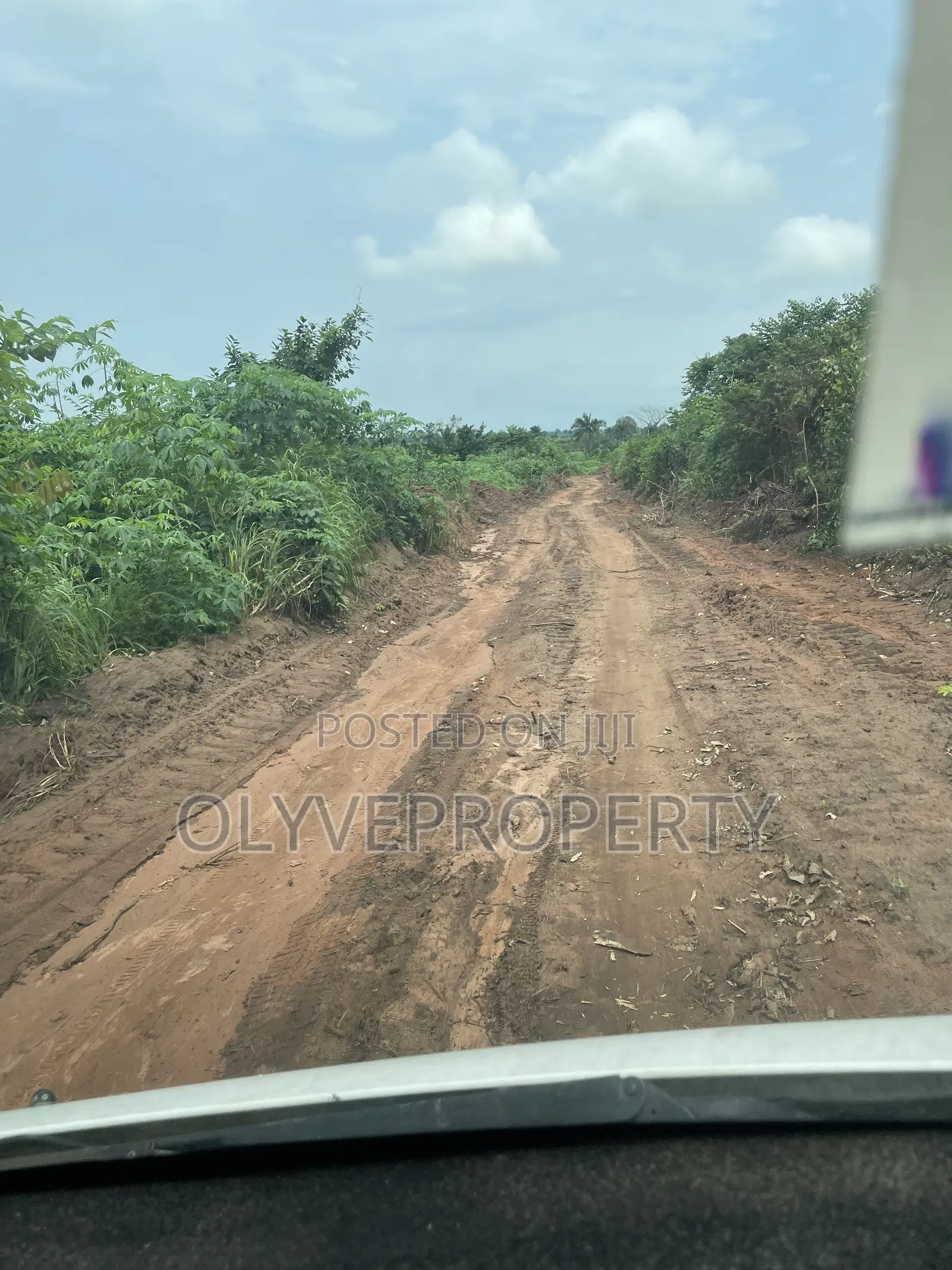 Acres of Farmland for Sale at Onicha Olona,Delta State in Oshimili South