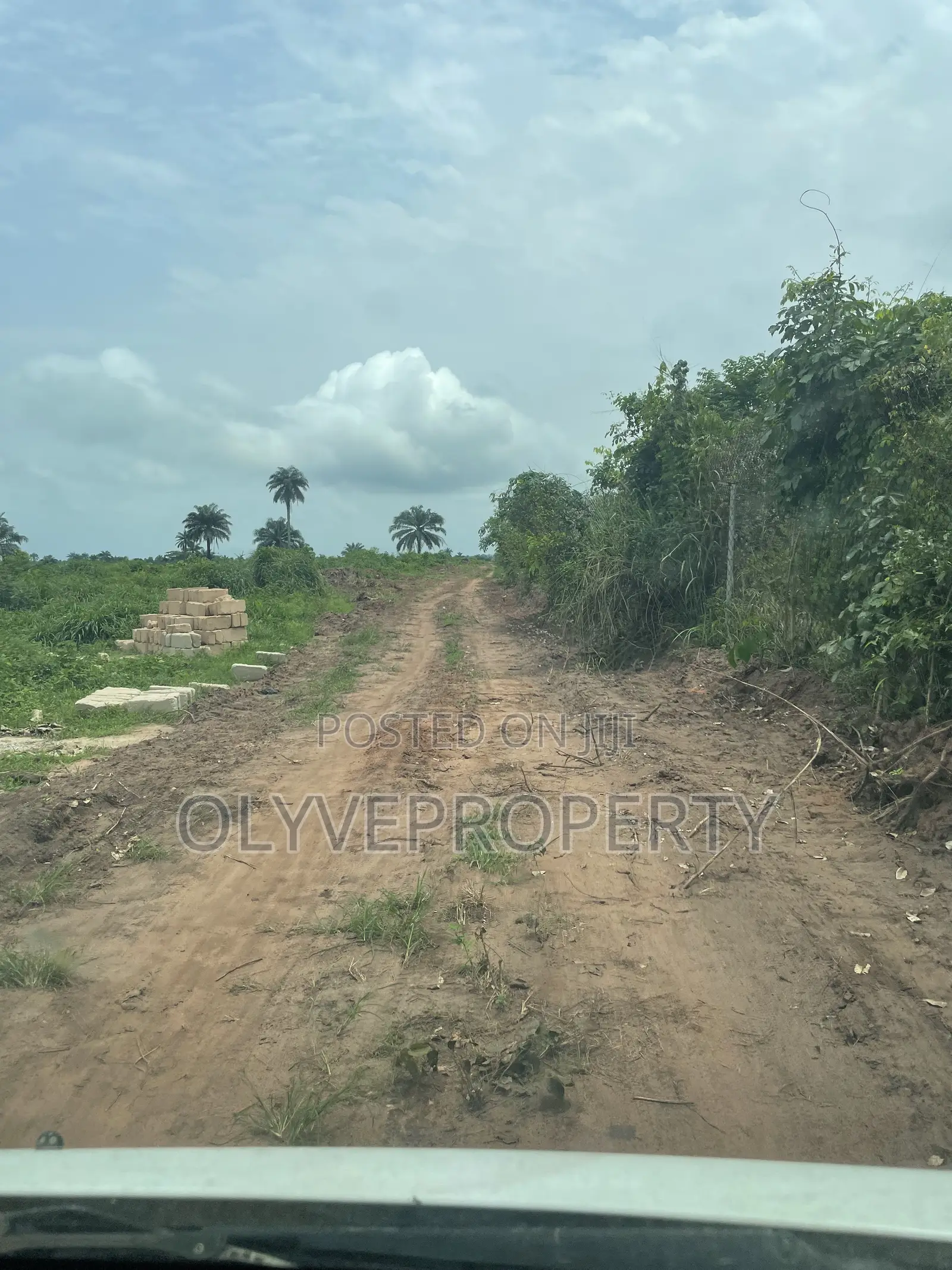 Acres of Farmland for Sale at Onicha Olona,Delta State in Oshimili South