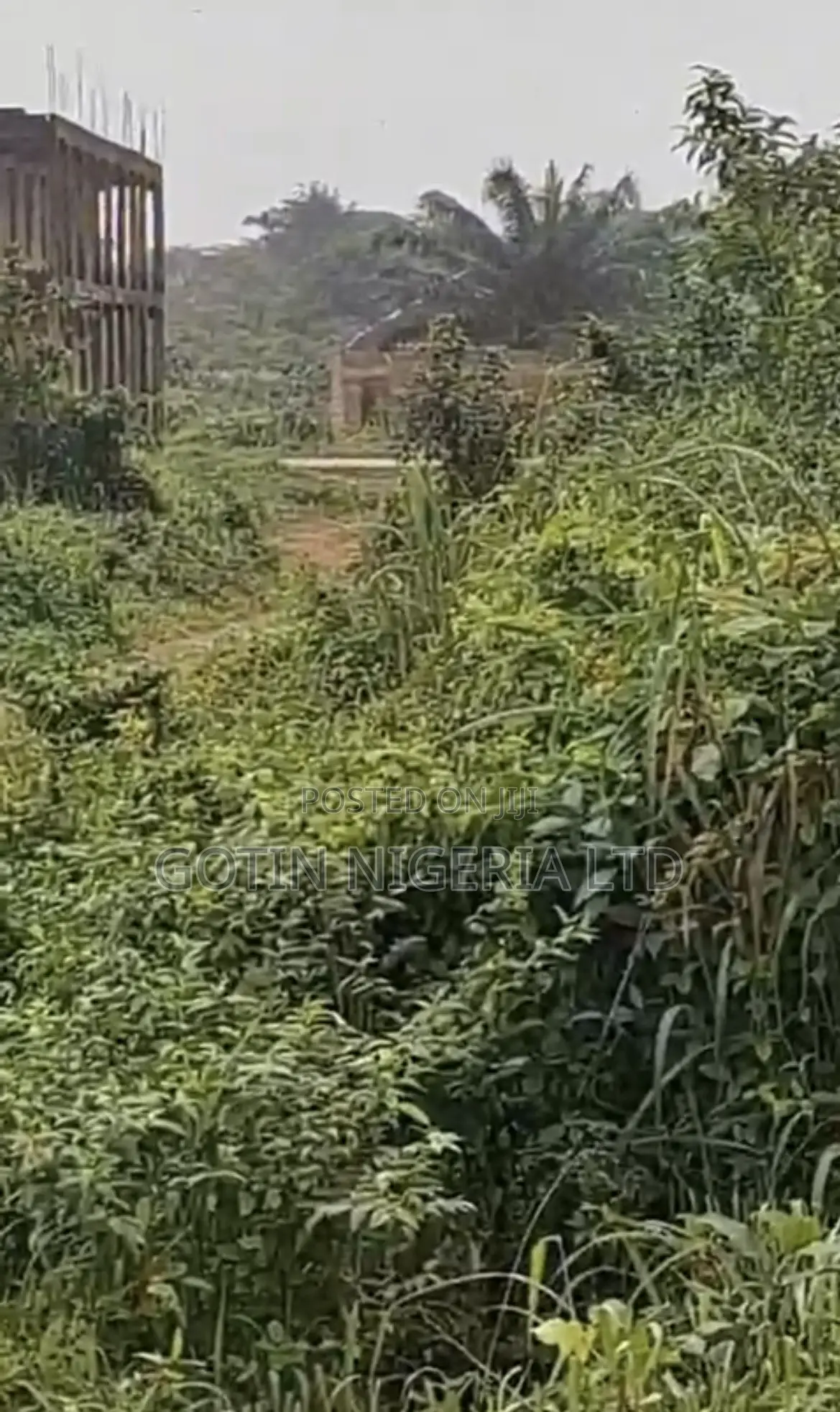 50×100ft Land at Obagie/Obayantor – ₦2.5M in Benin City