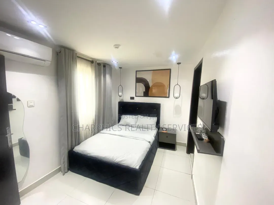 Furnished Studio Apartment in Ikoyi S.W for rent in Ikoyi S.W