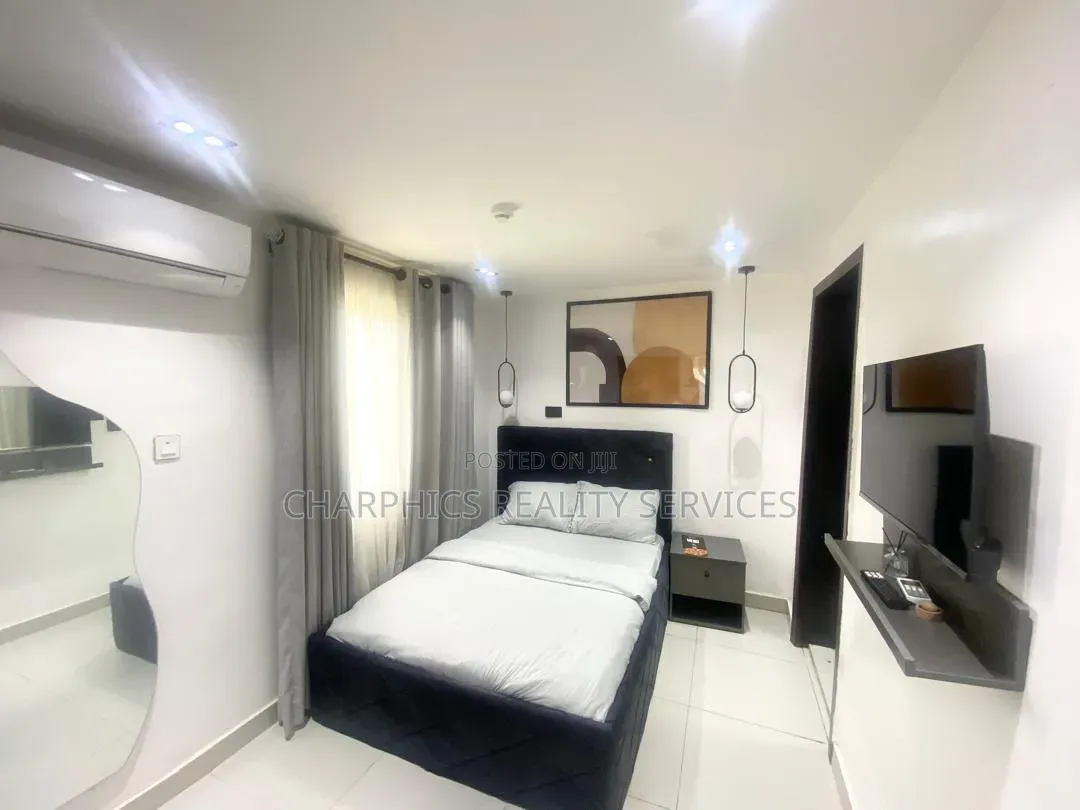 Furnished Studio Apartment in Ikoyi S.W for rent in Ikoyi S.W