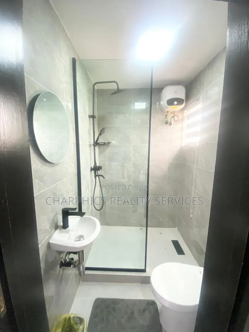 Furnished Studio Apartment in Ikoyi S.W for rent in Ikoyi S.W