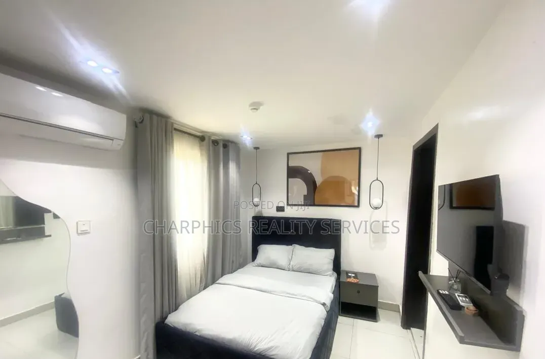 Furnished Studio Apartment in Ikoyi S.W for rent in Ikoyi S.W