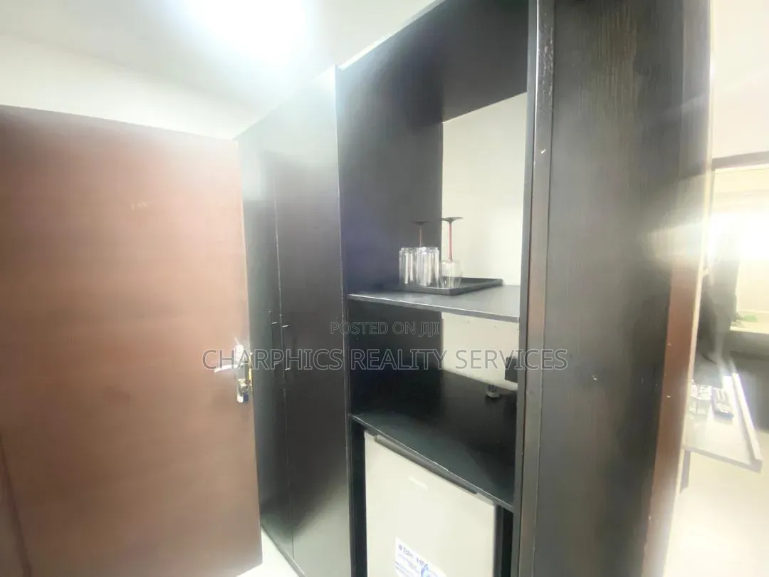 Furnished Mini Flat in Ikoyi S.W for rent in Ikoyi S.W
