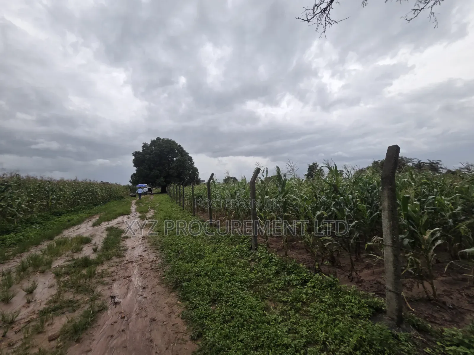 8 Hectares of Industrial Land at Dikko Junction in Tafa