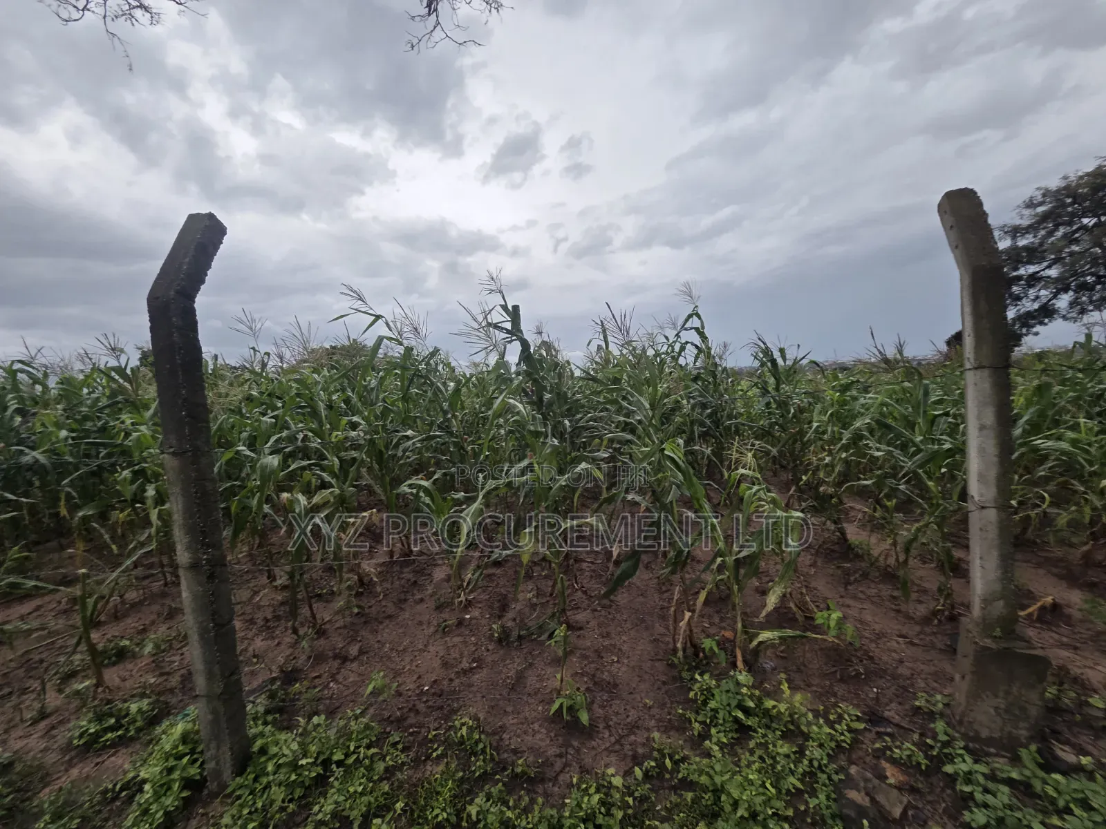 8 Hectares of Industrial Land at Dikko Junction in Tafa