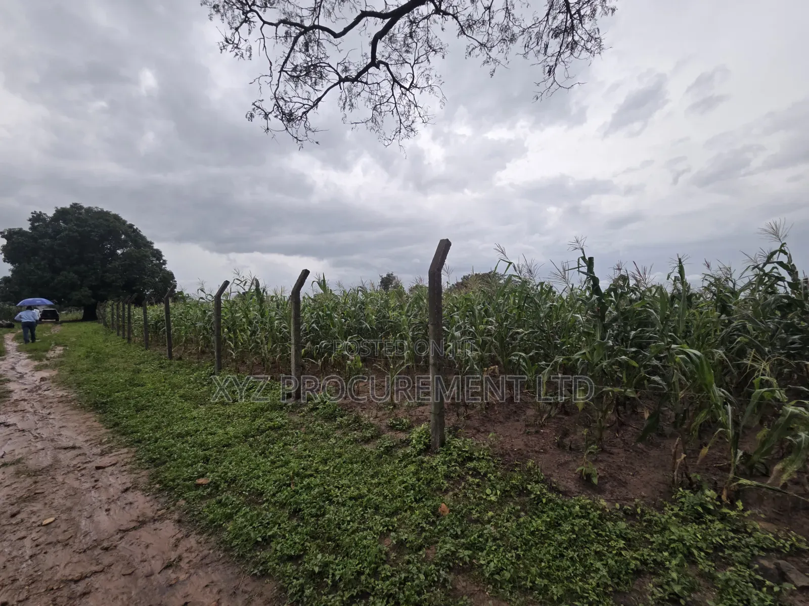 8 Hectares of Industrial Land at Dikko Junction in Tafa