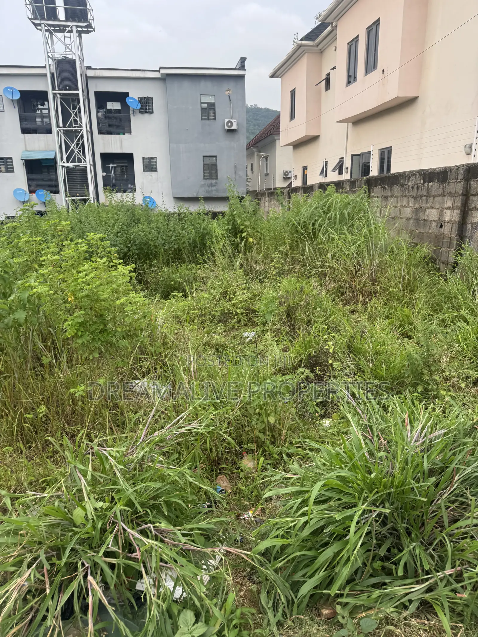 Right of Occupancy in Dawaki