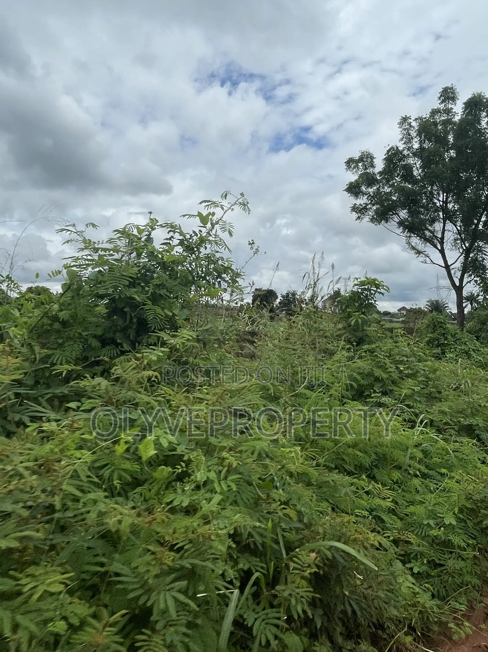 Beautiful Plots for Sale at Olodu Ogwashi in Oshimili South