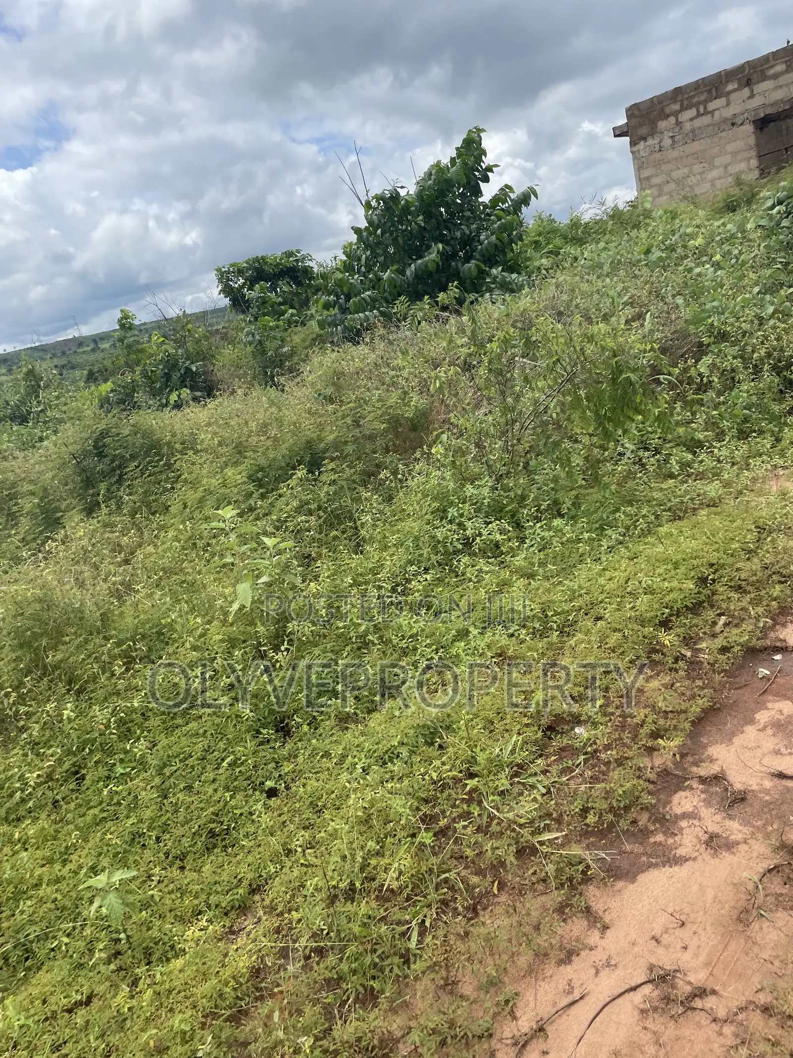 Over 1,000 Plots of Land for Sale at Ukala Okpuno Delta State in Aniocha North