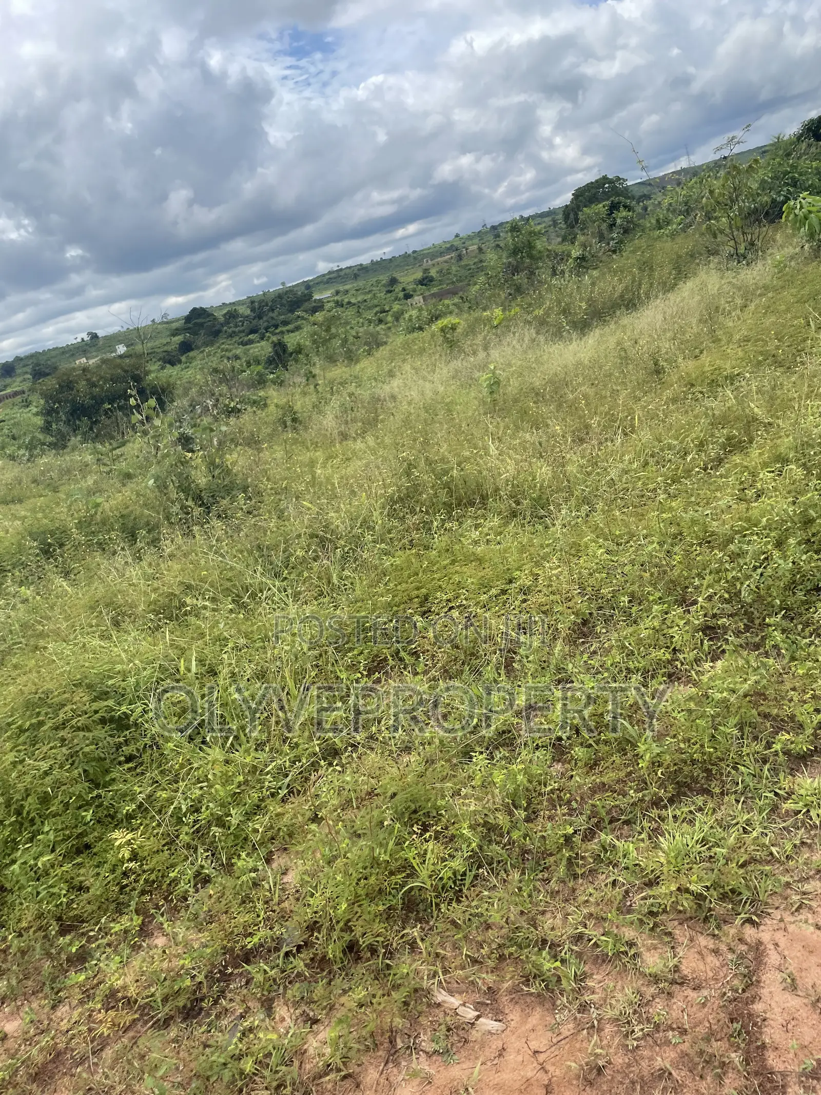 Over 1,000 Plots of Land for Sale at Ukala Okpuno Delta State in Aniocha North