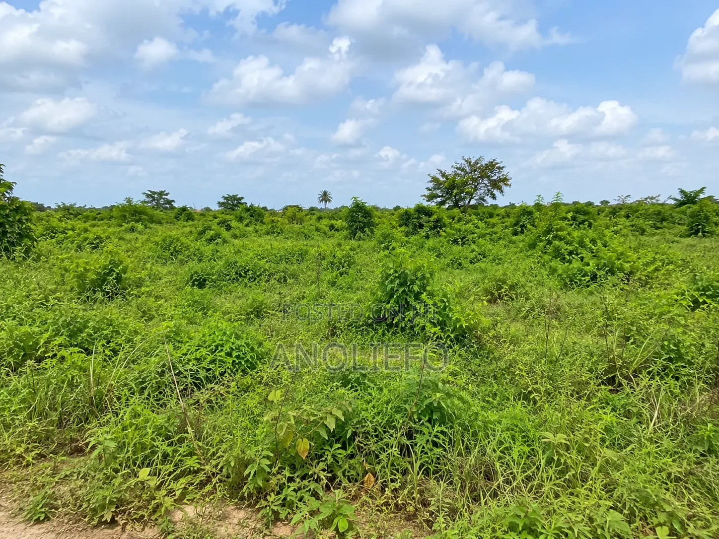 A Plot of Land in Ngor-Okpala