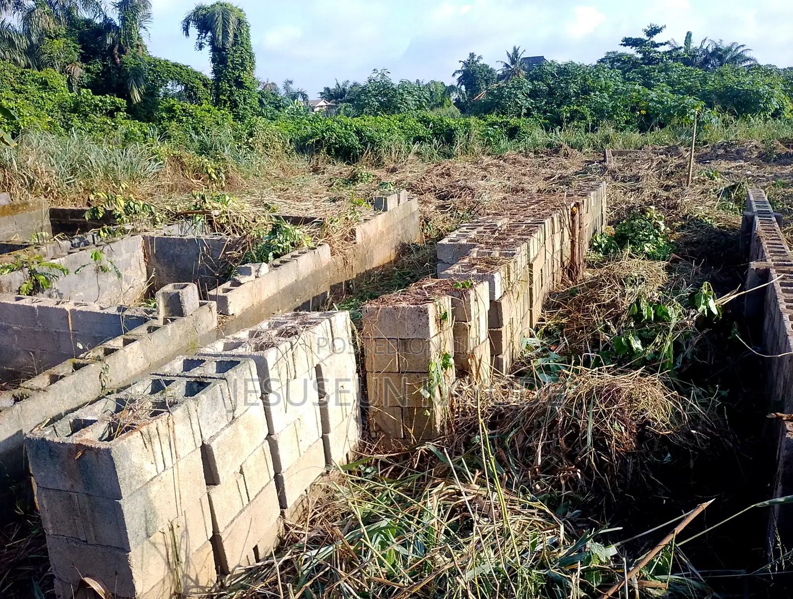 Full Plot of Land With Foundation in Agric