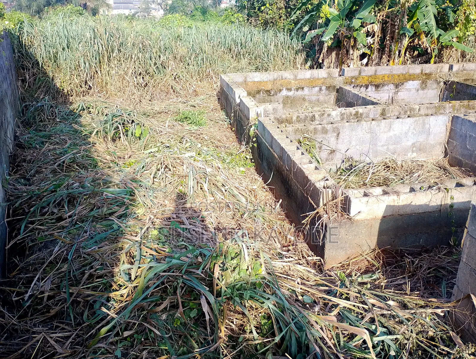 Full Plot of Land With Foundation in Agric