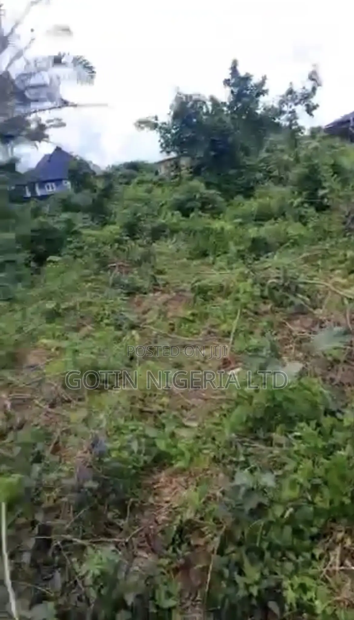 100×100ft Land at Josh Dan School Road, Ogheghe in Benin City