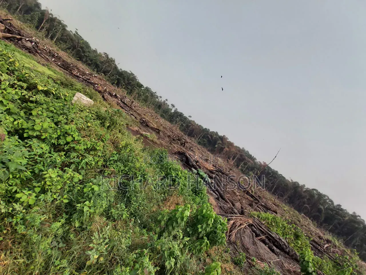 N19m/Acre, Epe, Lagos Facing Express in Epe Road