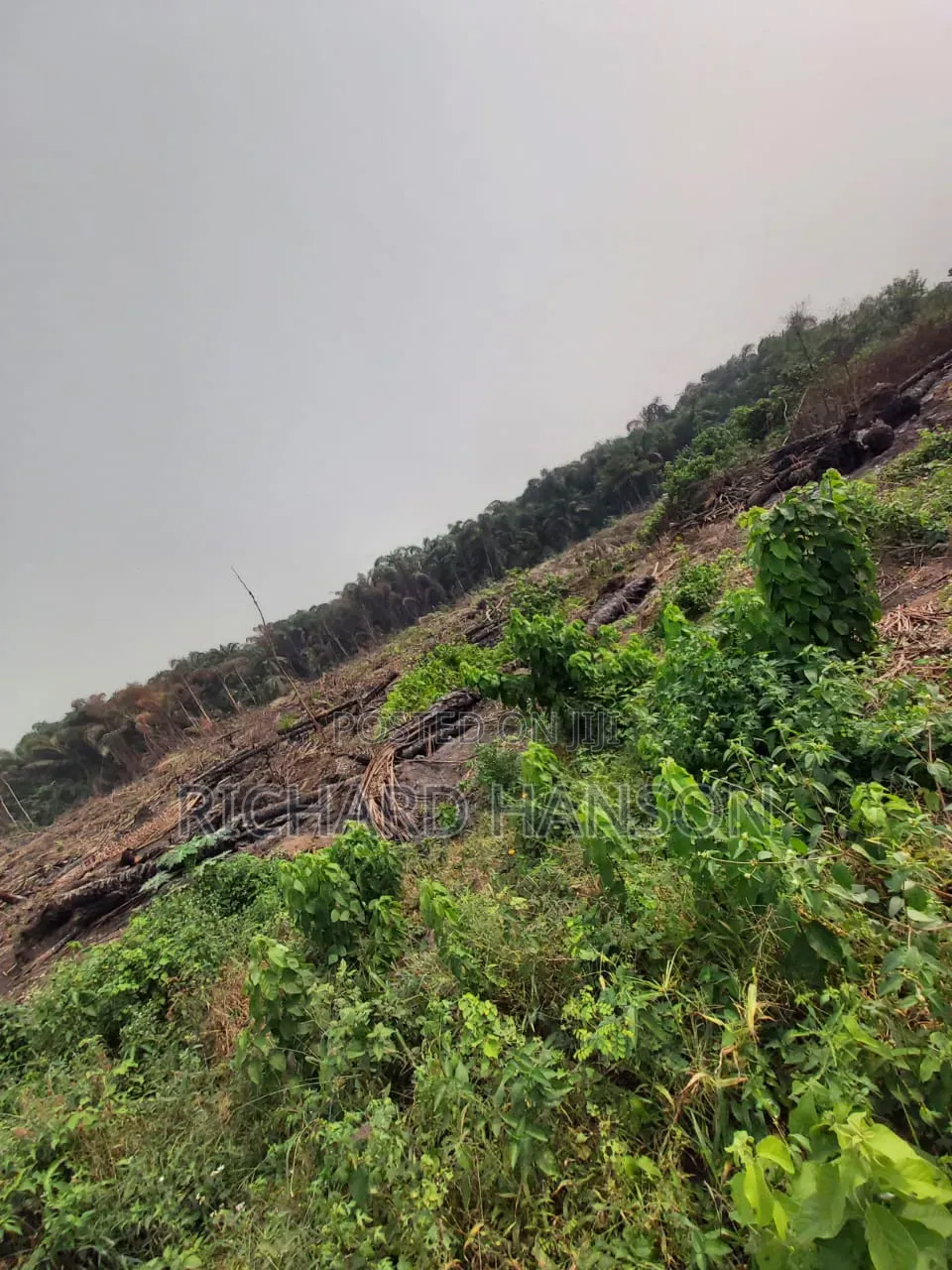 N19m/Acre, Epe, Lagos Facing Express in Epe Road