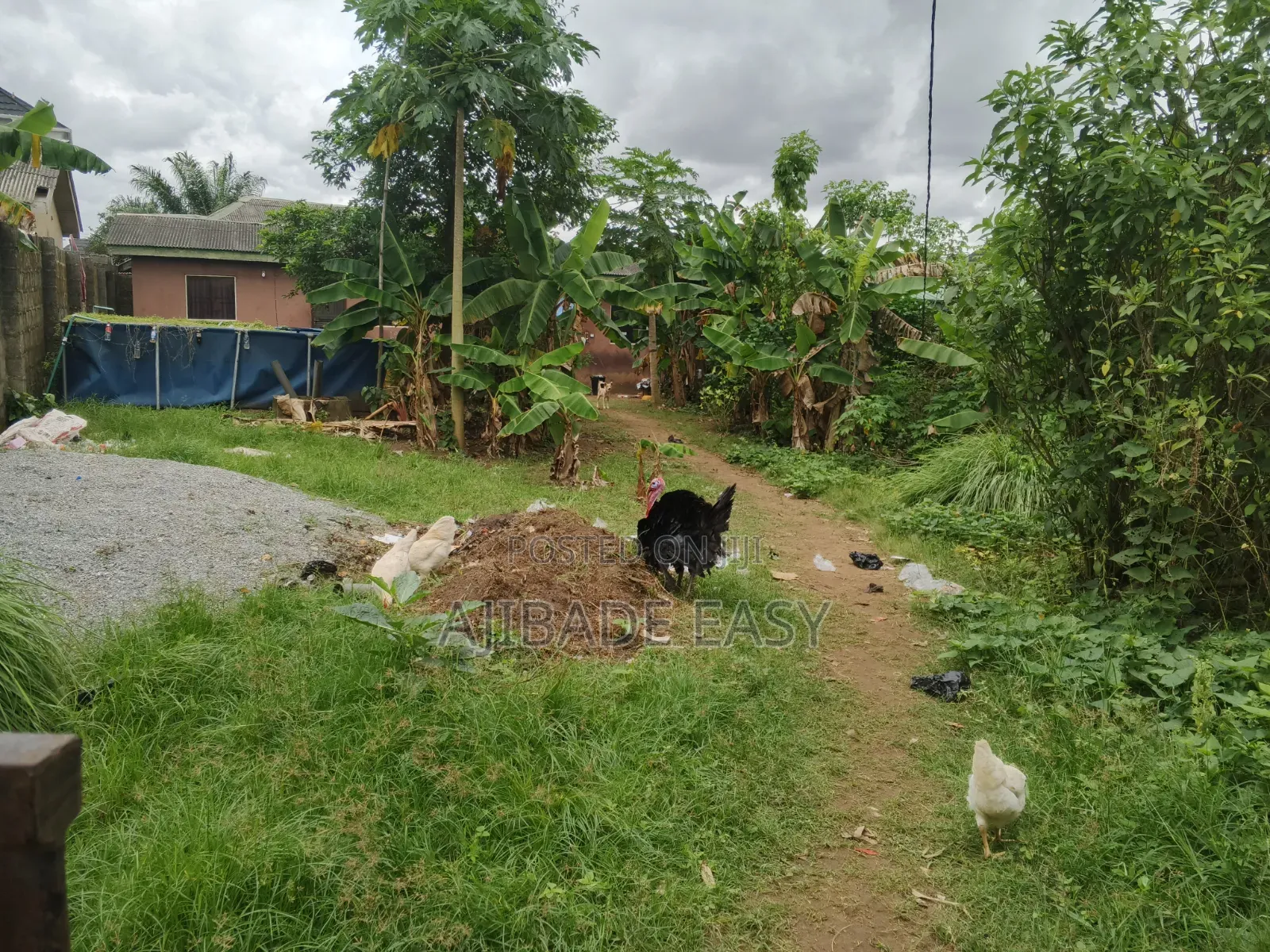 A Plot of Land Fence Gated Compound in Ayobo
