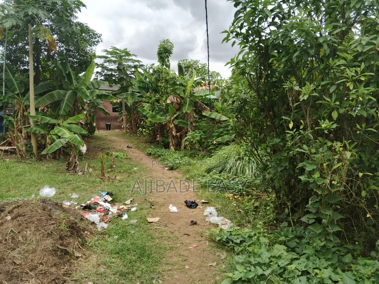 A Plot of Land Fence Gated Compound in Ayobo