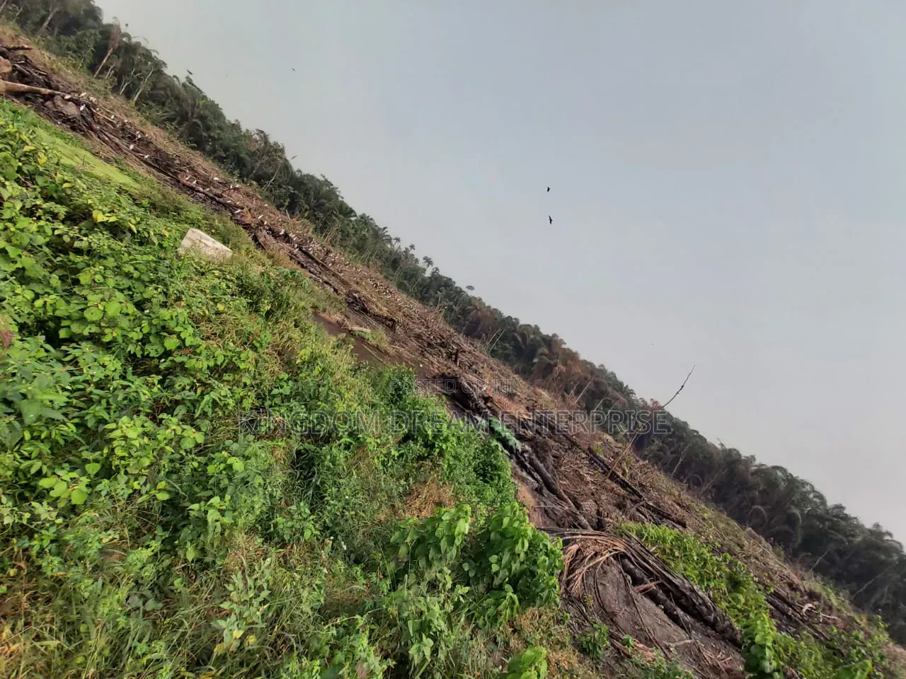 40 Acres of Land Available for Sale at Ketu-Epe Biggest Market in Epe