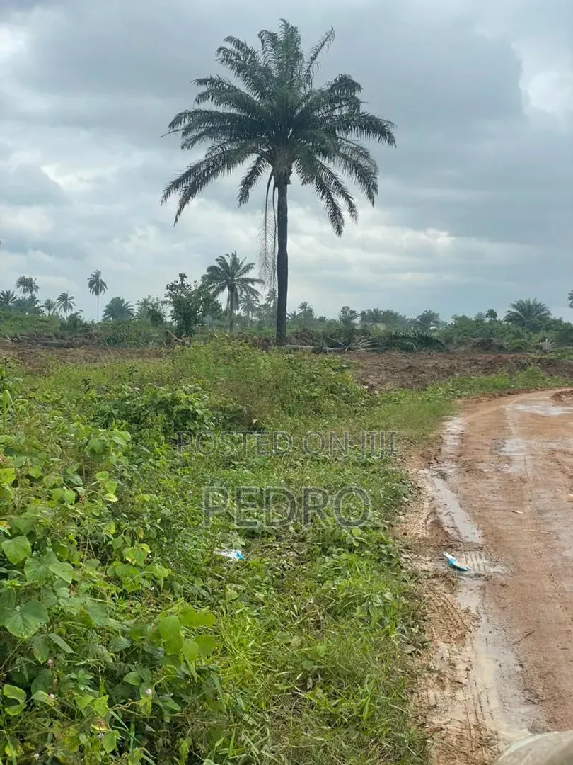 Land for Sale at Airport Road by Obirikwere in Obio-Akpor