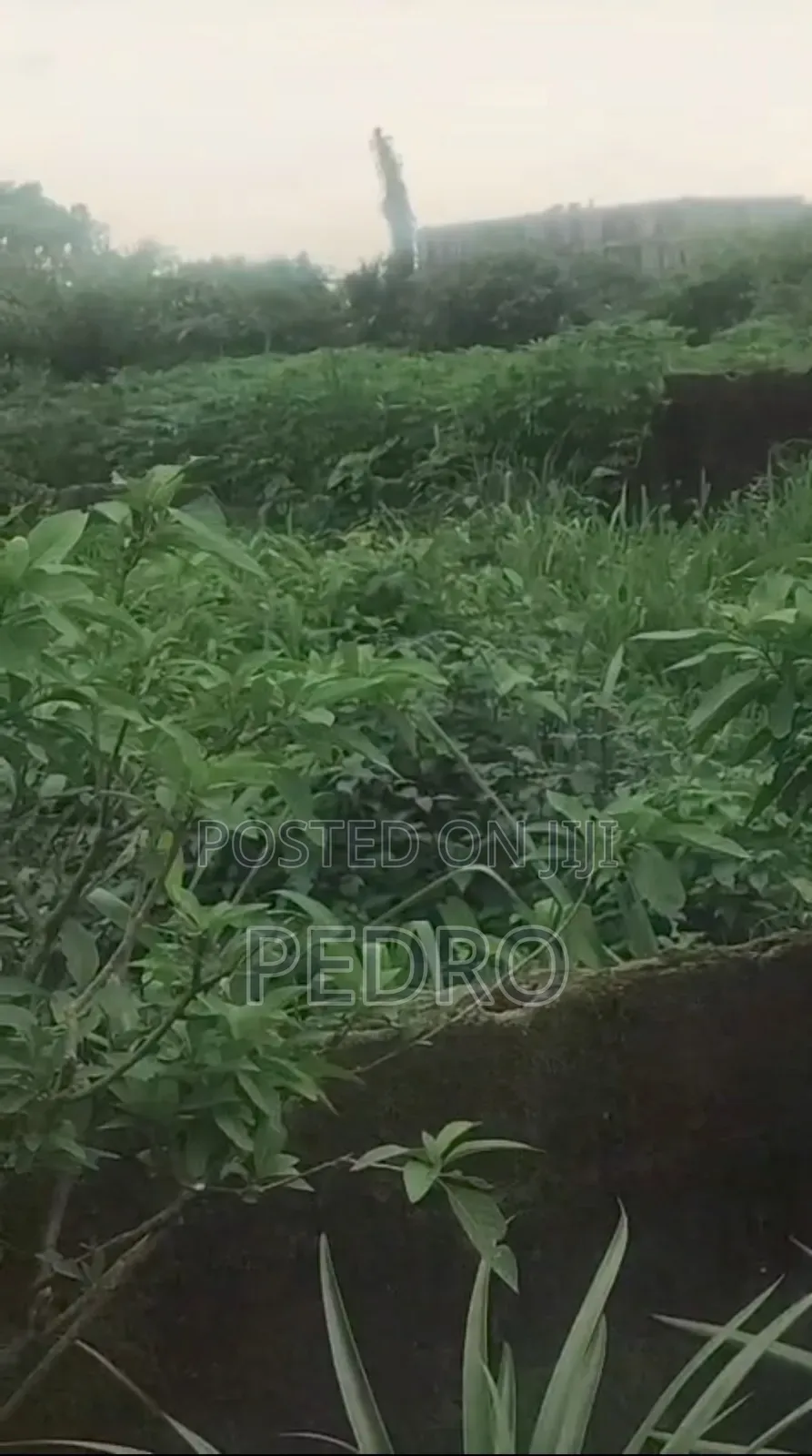 Land for Sale at Airport Road by Obirikwere in Obio-Akpor