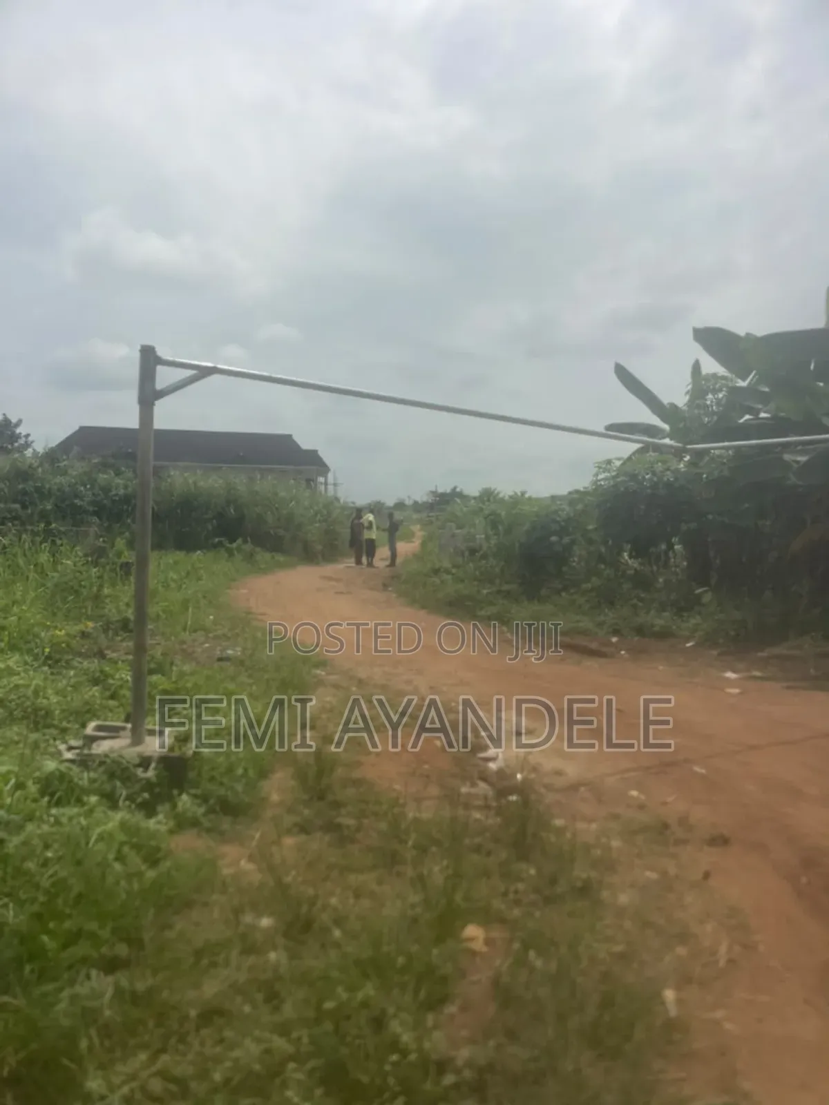 Distress Sale Land in Igbogbo
