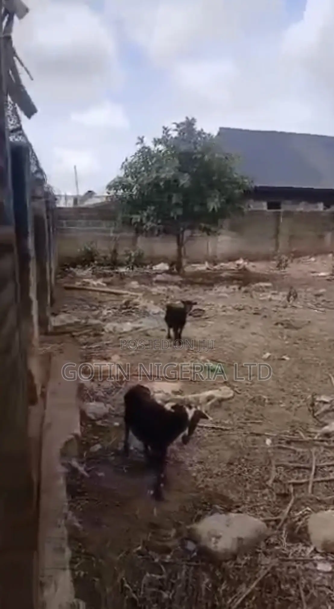 Fenced 100×100ft Land With Security House at Okabere in Benin City