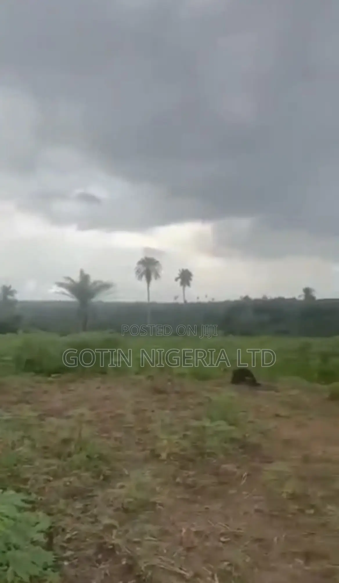 50×100ft Dry Land for Sale at Efosa, Ugbowo in Benin City