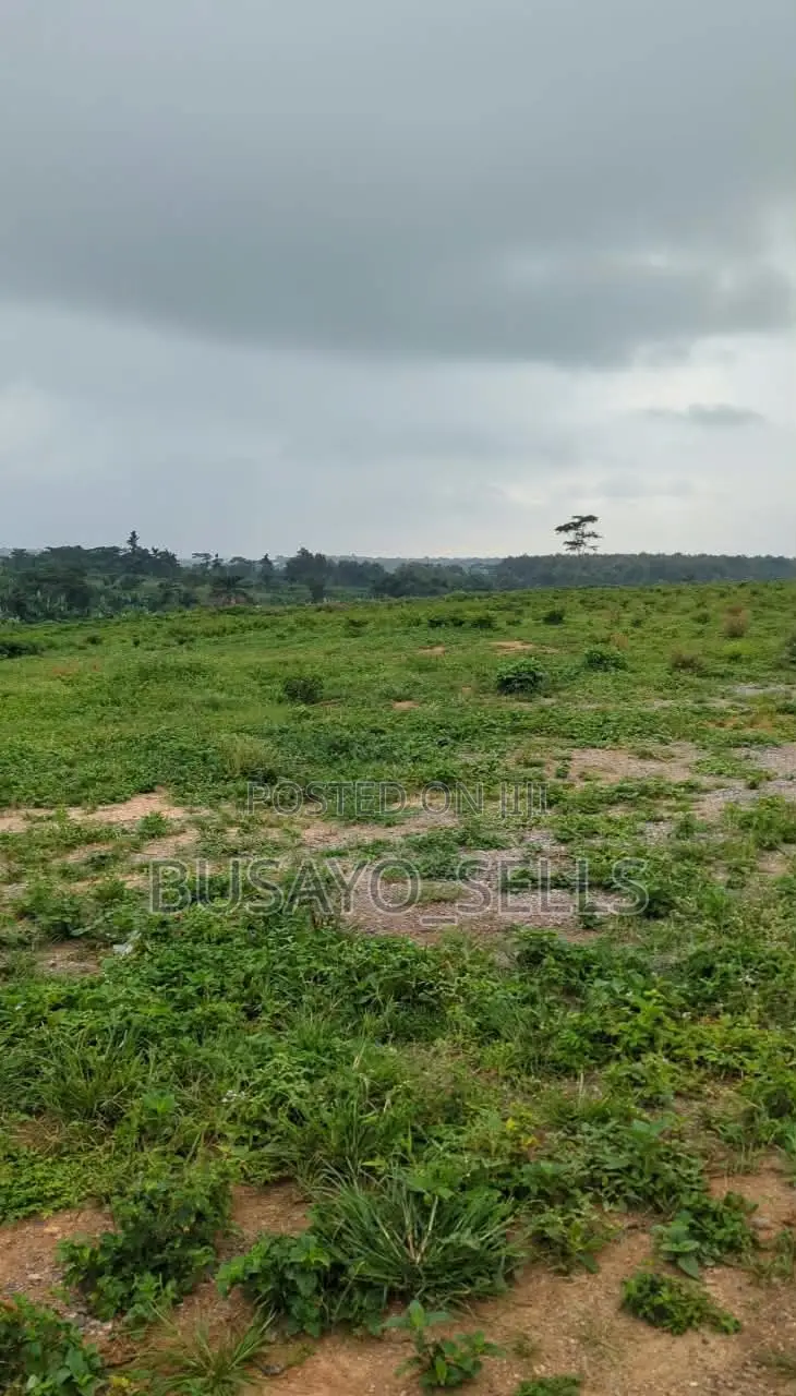 Resident Land Plots for Sale 500sqm Ibadan Circular Road–Promo ₦20M! in Ijebu Ode