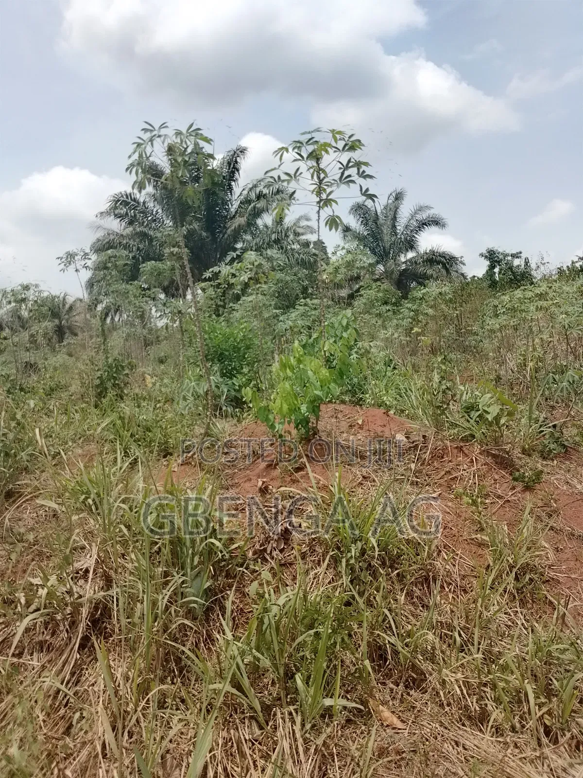 850 Acres of Land for Sale at Obafemi Town via Siun Ogun State in Obafemi-Owode