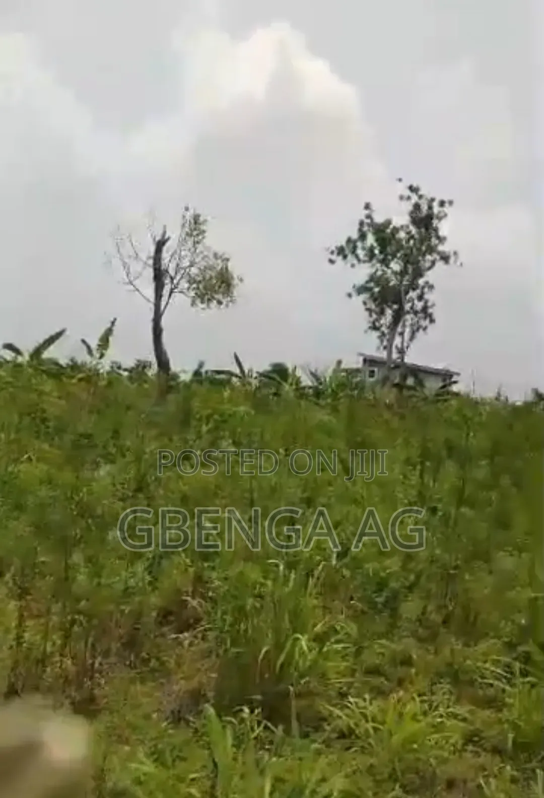 5 Acres of Land for Sale at Ayetoro Makun Off Lagos-Ibadan Express in Obafemi-Owode
