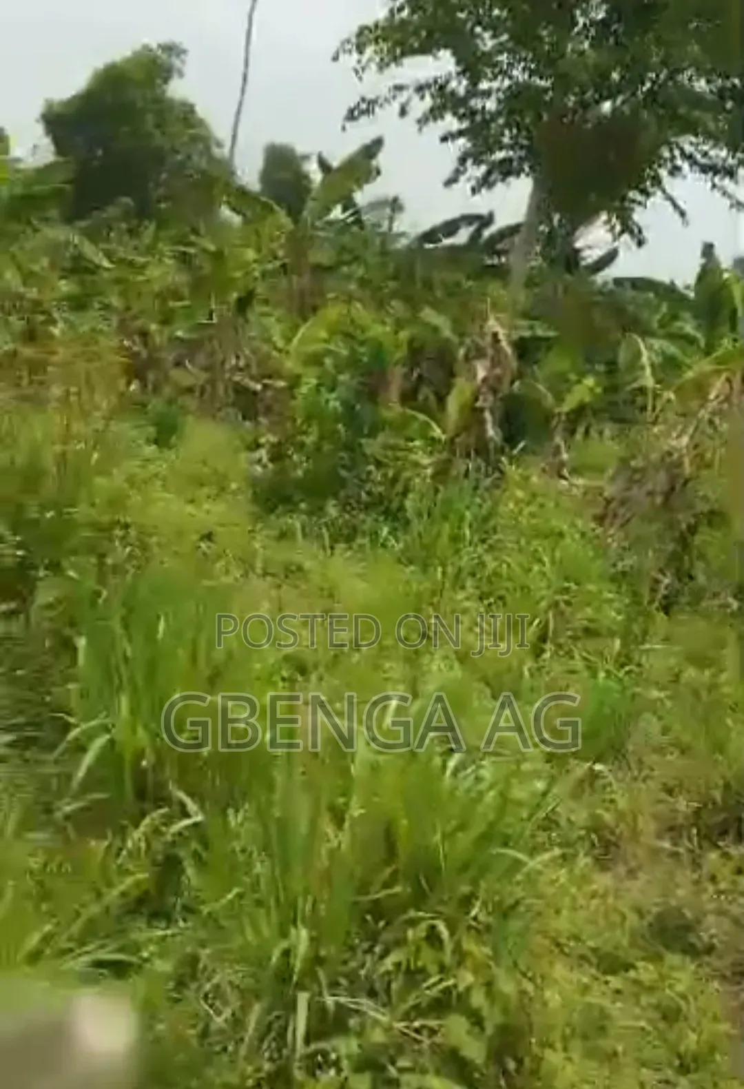 20 Acres of Land for Sale at Mowe via Christopher Uni in Obafemi-Owode