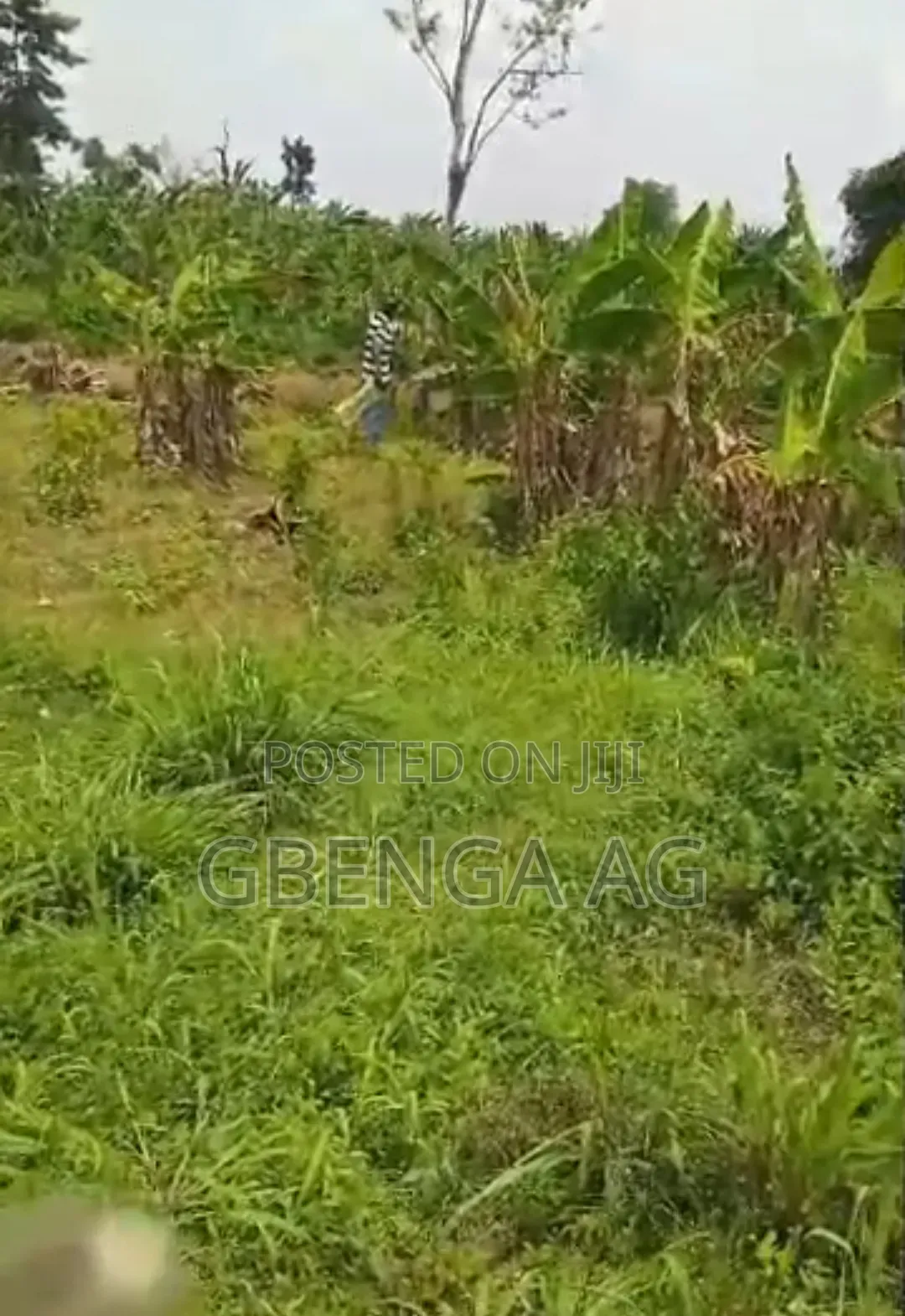 20 Acres of Land for Sale at Mowe via Christopher Uni in Obafemi-Owode