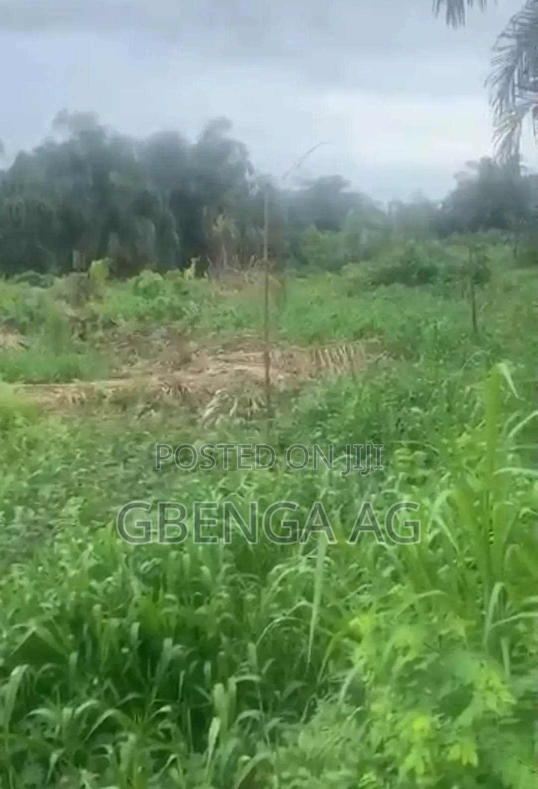 83 Hectares of Land for Sale at Imeko Afon in Imeko Afon