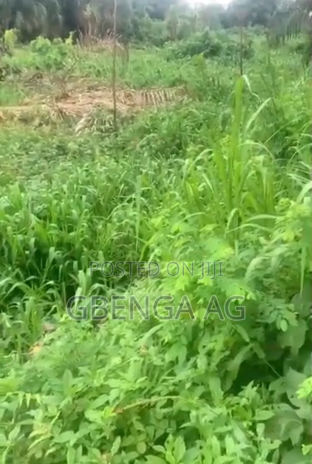 83 Hectares of Land for Sale at Imeko Afon in Imeko Afon