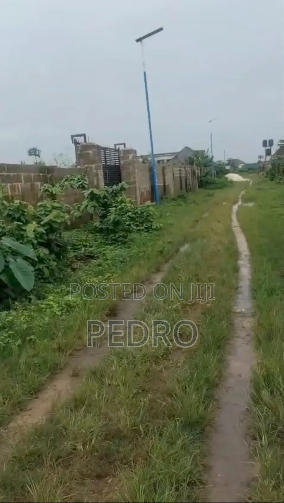 1 Plot of Land in Unity Estate Buy and Build in Obio-Akpor