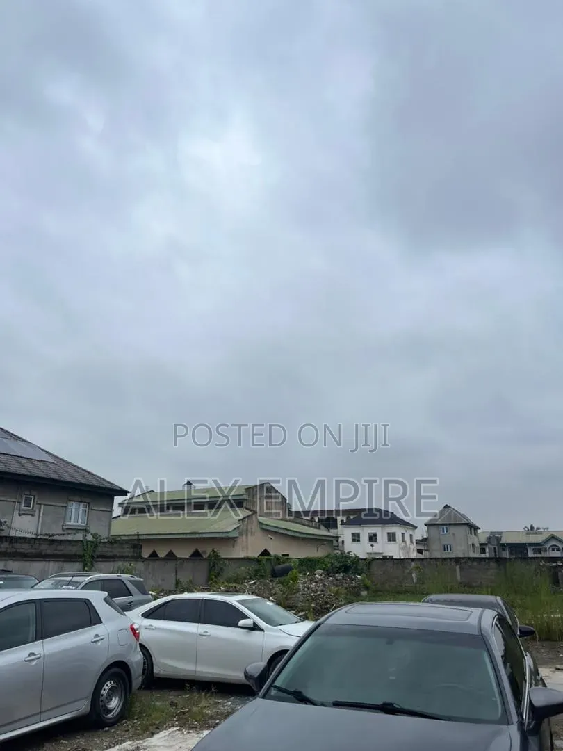 3 and the Half Plot of Land for Rent in Okota in Okota