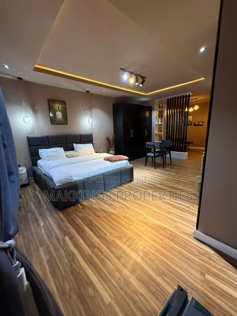 Furnished Mini Flat in Ikate for rent in Ikate