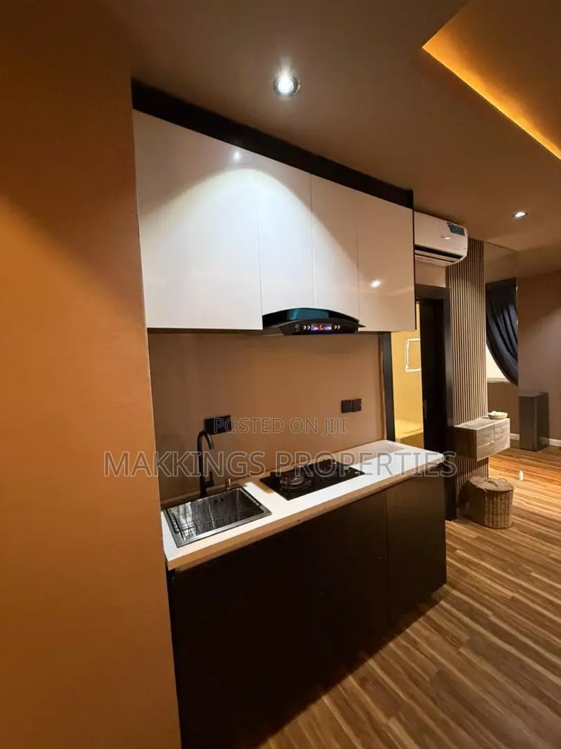 Furnished Mini Flat in Ikate for rent in Ikate