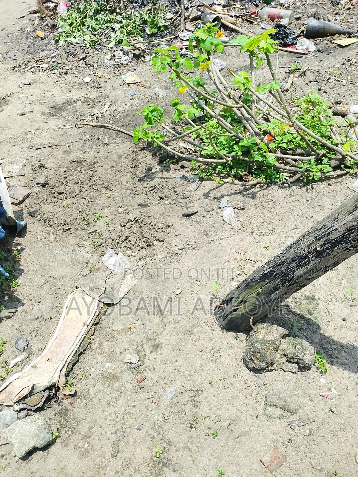 3 Plots of Land Facing Lekki Express by Oral Estate in Ikota