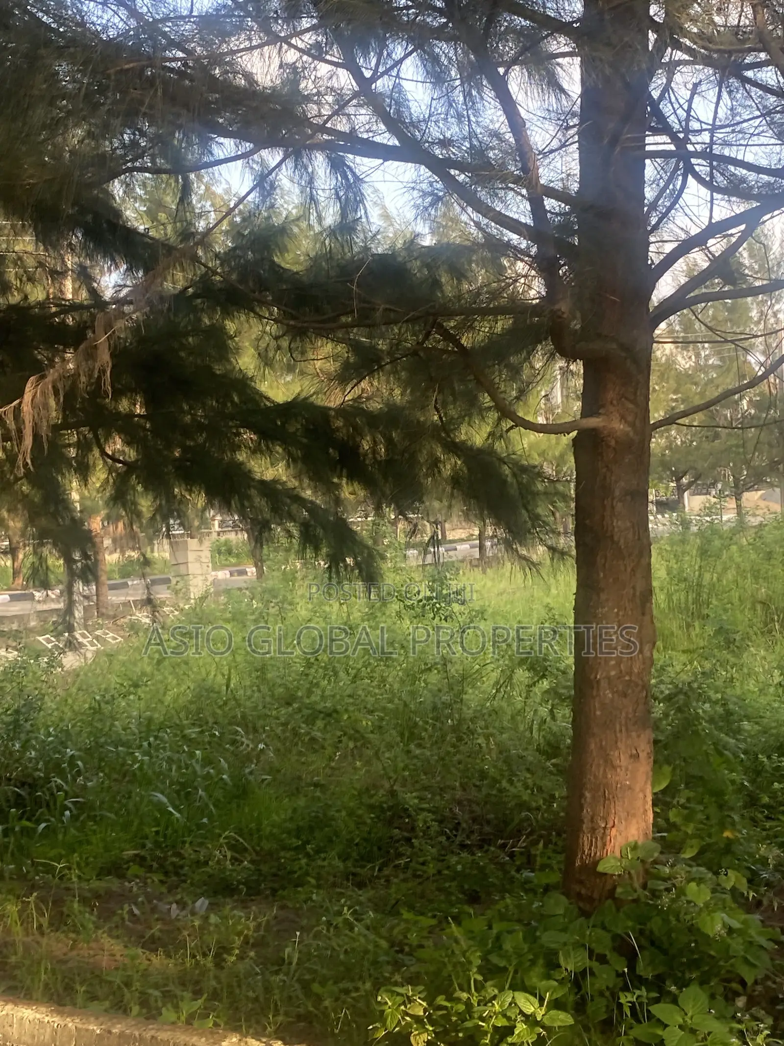 Plot of Lands in a Fully Developed Estate in Ajah