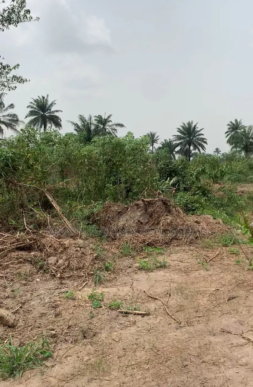 Land for Sale – Aluu, Port Harcourt in Ikwerre