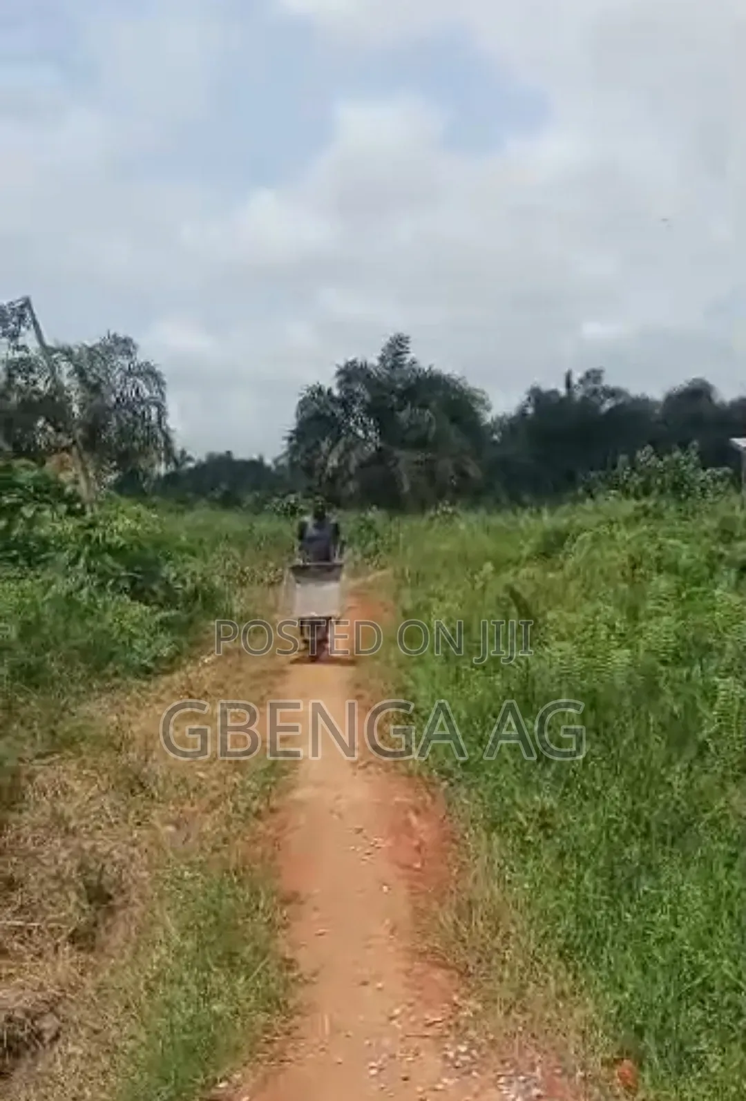 56 Acres of Farmland With Cocoa and Orange Plantation for Sale in Obafemi-Owode