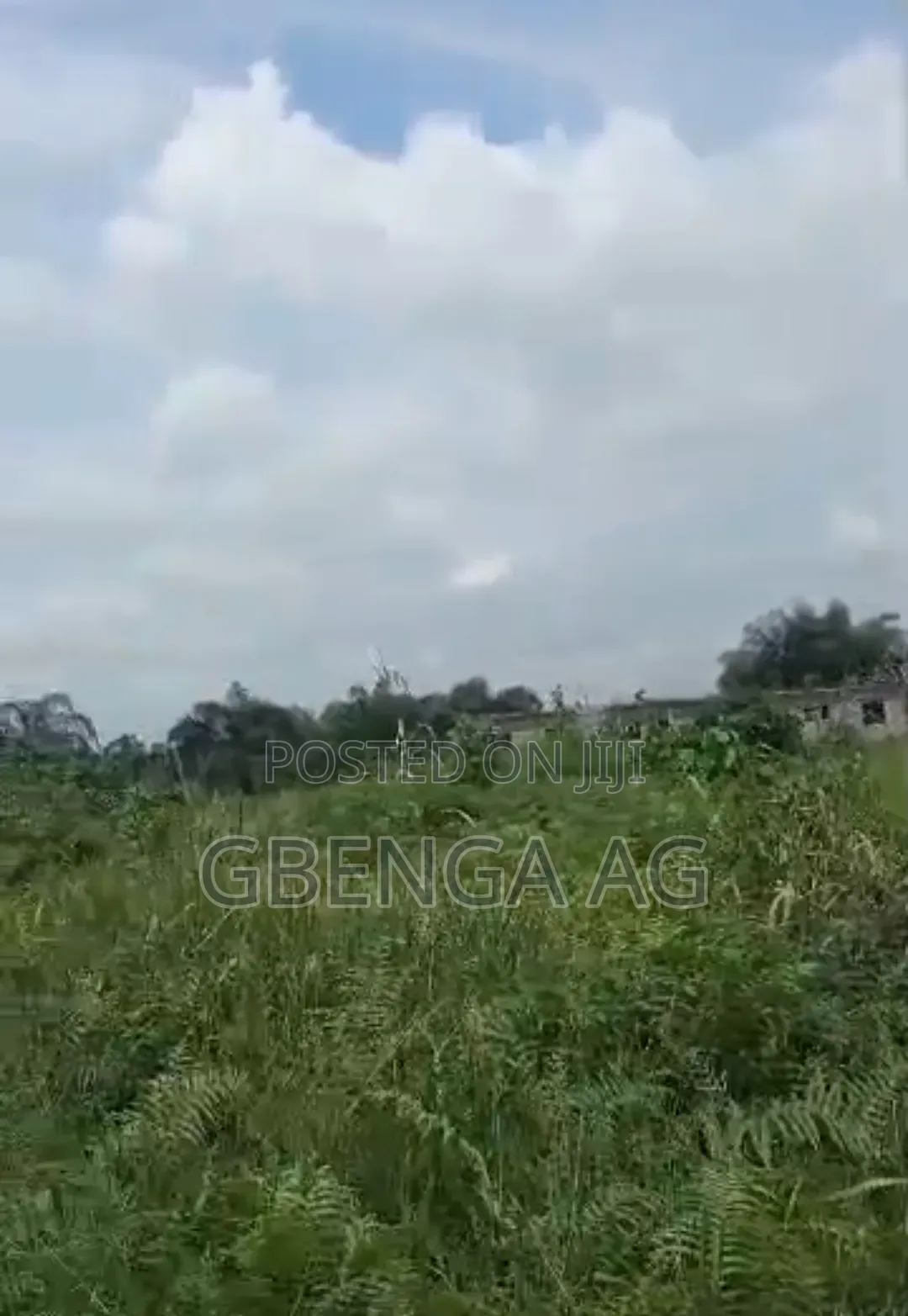 56 Acres of Farmland With Cocoa and Orange Plantation for Sale in Obafemi-Owode