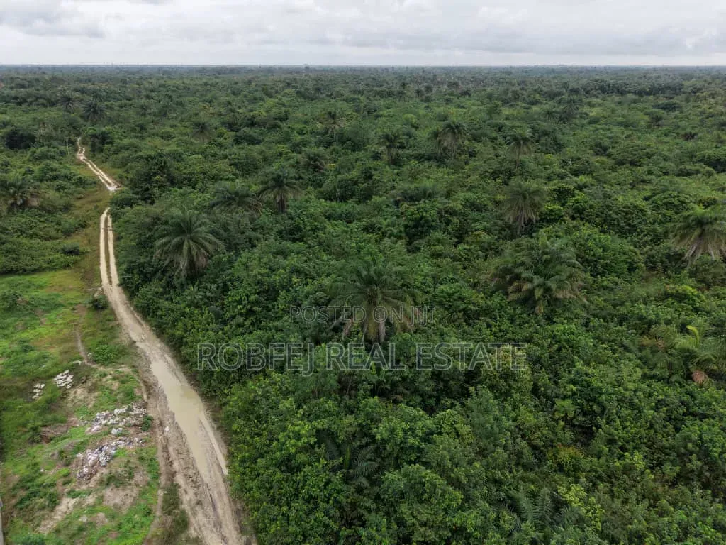 Limited Land Opportunity in Ibeju-Lekki! in Bogije