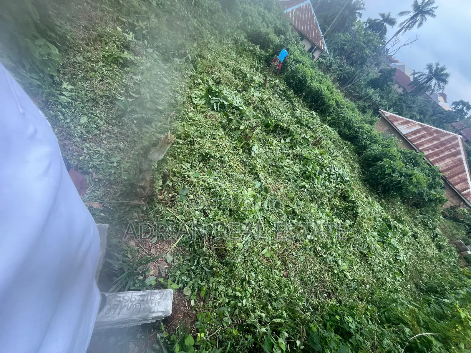 A Plot of Land Located Near Health Tech Ilesa,for Hostel Residential in Ilesa
